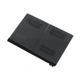 iPad 10 Batterie