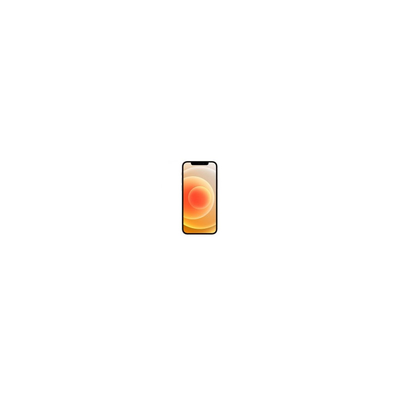i Phone 12 mini Reparatur