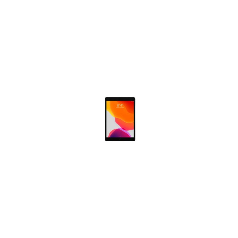 iPad 7a A2200 A2197 A2198 Reparatur